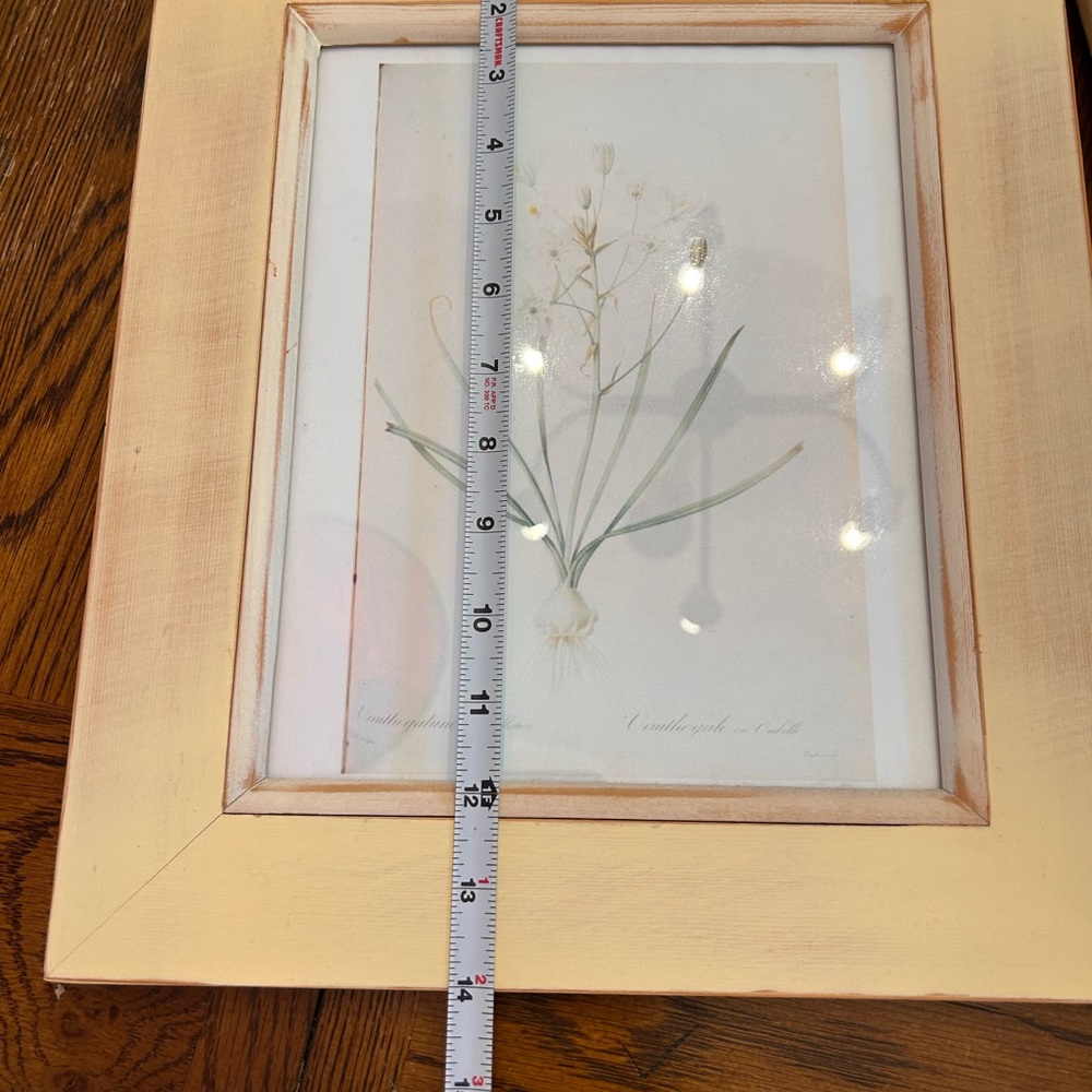 Natural Wood Framed Botanical Prints Set - Picture 6 of 9
